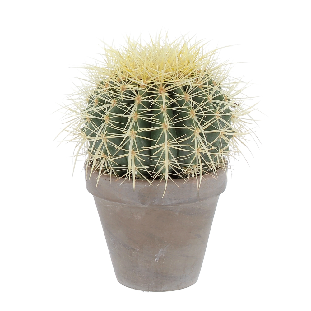 PTG-Grasse-Terracotta-Echinocatus-Grusonii-v14-h22-frontale Echinocactus