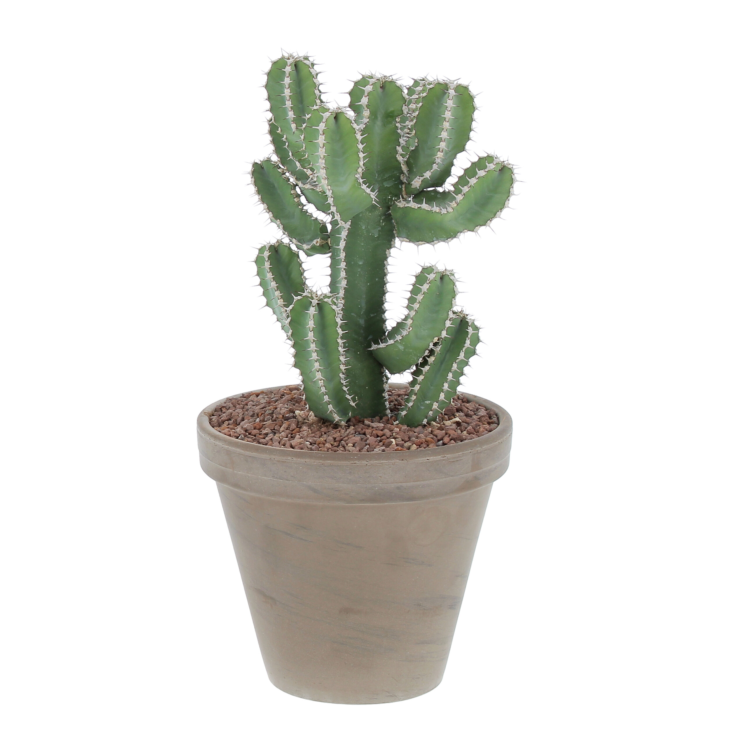 PTG-Grasse-Terracotta-Euphorbia-Policantha-v18-h35-frontale